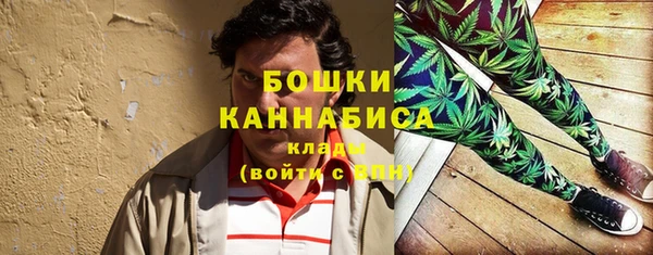 прущие грибы Сосновоборск