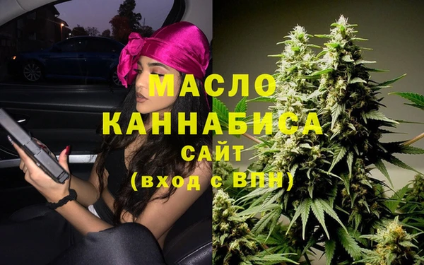 хмурый Каменка