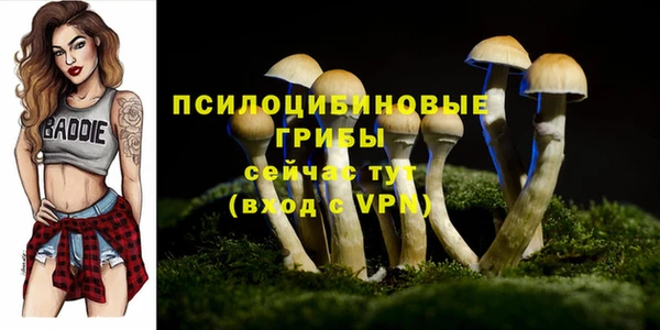 хмурый Каменка