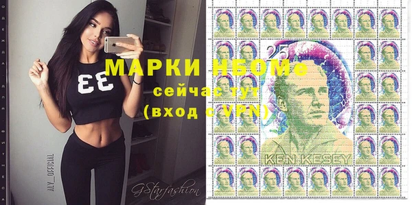 хмурый Каменка