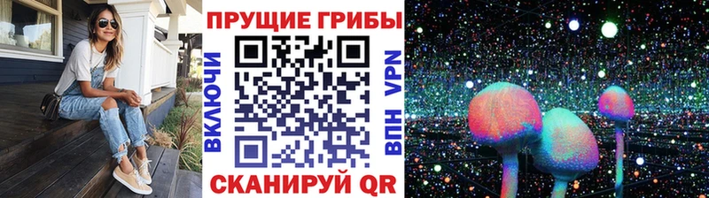 Галлюциногенные грибы ЛСД  Купить где  Гатчина 