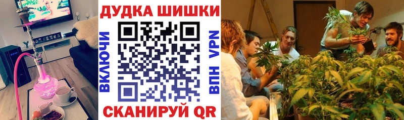 Каннабис конопля  Купить  Гатчина 